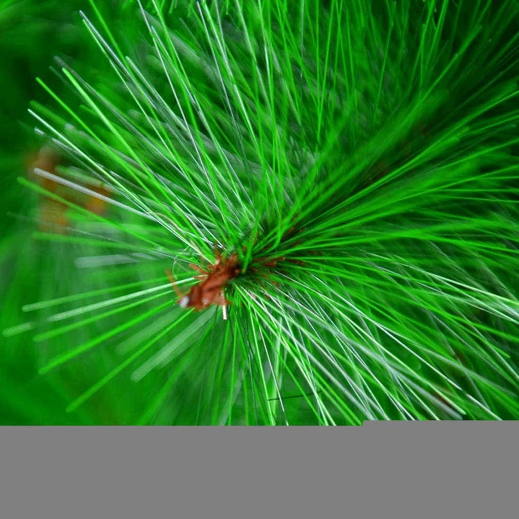 Christmas Tree 60cm 90cm 120cm 150cm Green White Christmas decoration