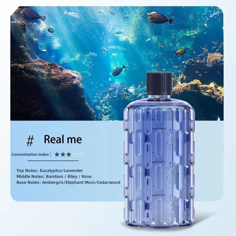 6IN1 SET 50ml Aromatherapy Diffuser WITH Essential Oil